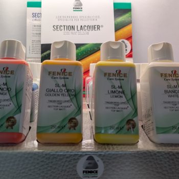 KIT TEINTURE DE TRANCHE SECTION LACQUERS